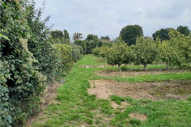 Sittingbourne orchard housing plan branded 'ludicrous' refused planning permission