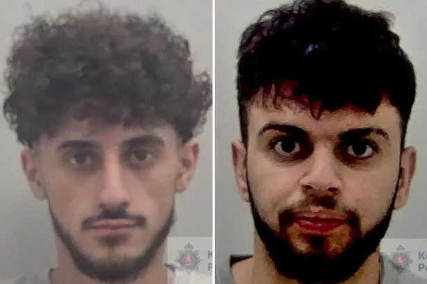 'Brutal' unprovoked baseball bat attack in Rochester resulted in fractured skull and bleed to brain