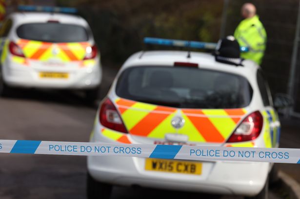 Three sheep 'may have been deliberately run over' near Maidstone, say police