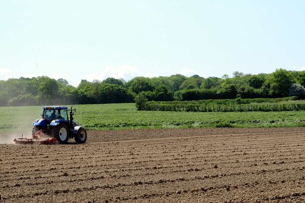 Tunbridge Wells Borough Council set to drop controversial 2,800 homes for Tudeley from draft Local Plan
