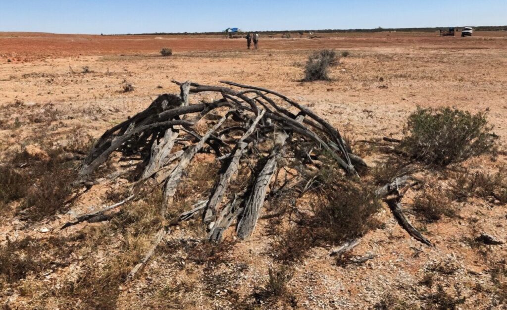 A new approach to understanding Aboriginal foodways