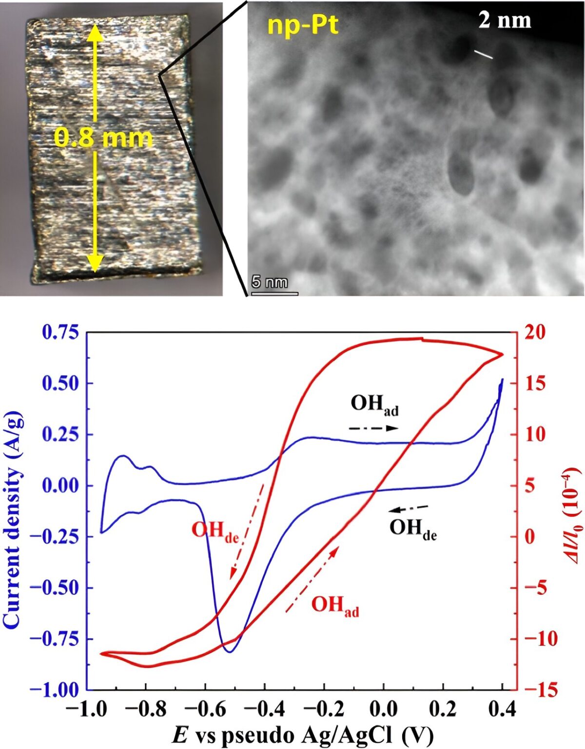 Porous platinum matrix shows promise as a new actuator material