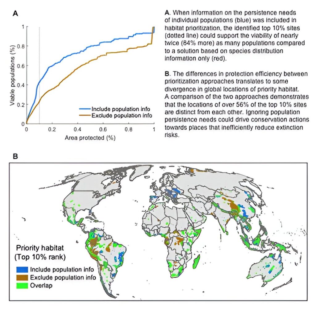 Prioritizing land to avoid species loss could reduce species extinction risk twice as efficiently