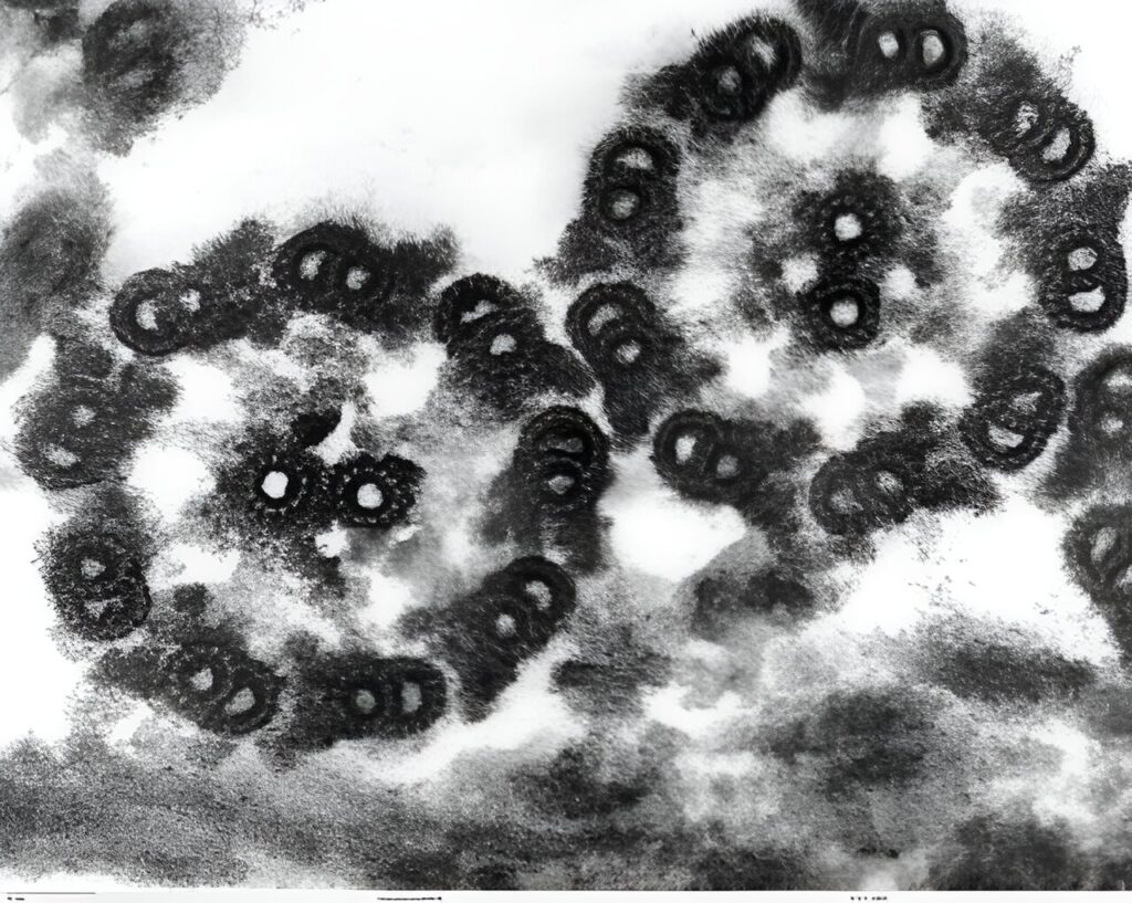 The way a sperm tail moves can be explained by mathematics worked out by Alan Turing