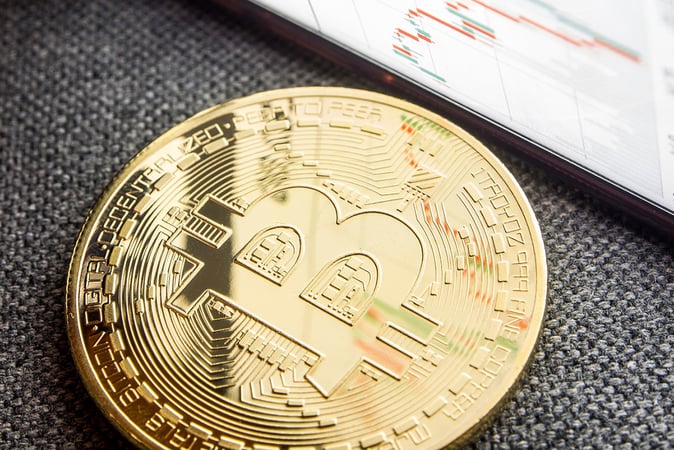 Bitcoin Price Could Hit $1,000,000 by 2029, Says Perianne Boring