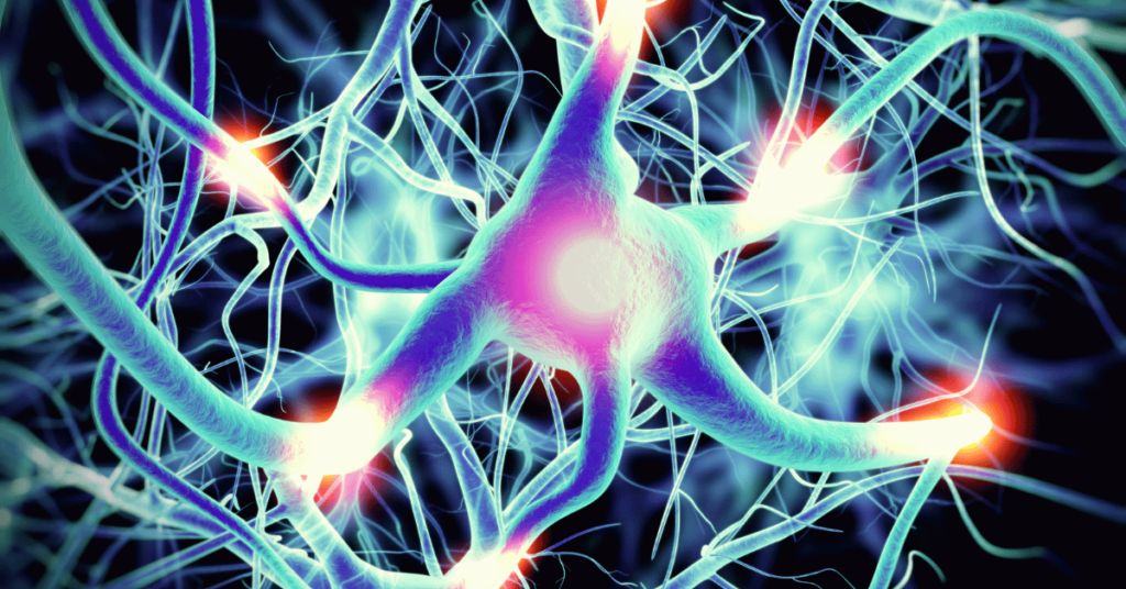 Our Cells’ Elixir of Youth, Energy & Repair