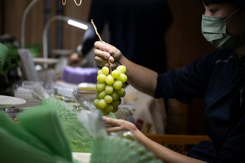 Japan battles to protect premium fruits