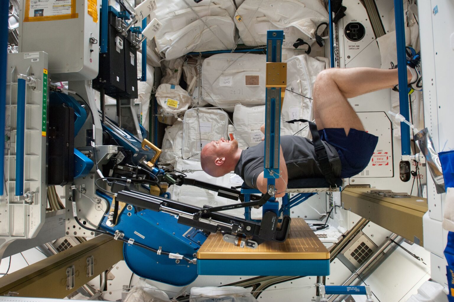 Counteracting Bone and Muscle Loss in Microgravity