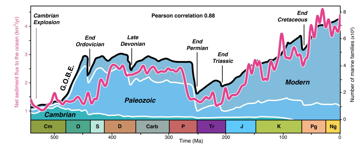 New unified theory shows how past landscapes drove the evolution of Earth’s rich diversity of life