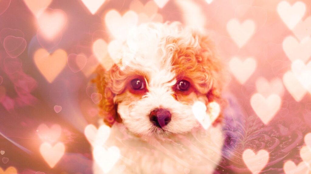 Mulch and the enduring appeal of internet absurdism