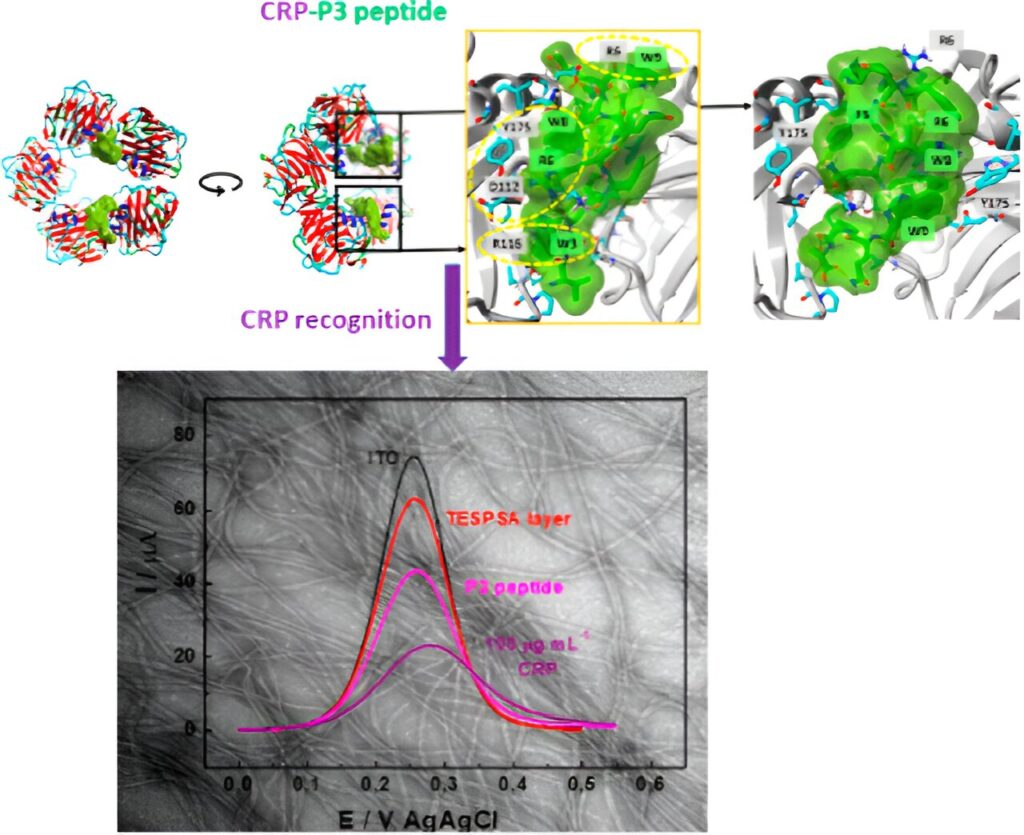Reassessing what we can expect from peptides in disease detection