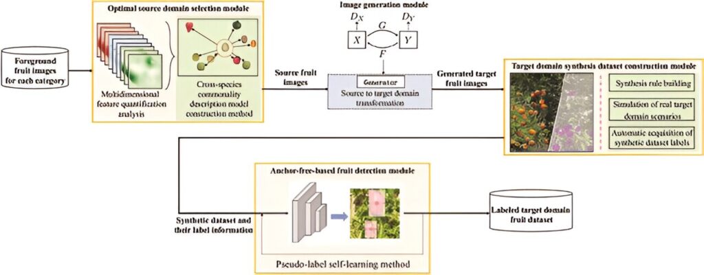 EasyDAM_V3 unveils next-gen automatic fruit labeling