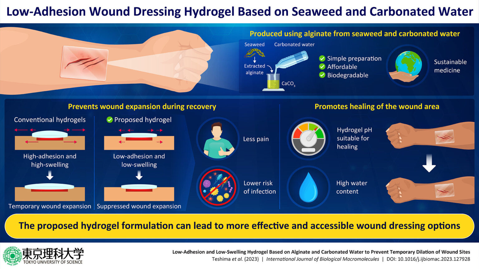 Researchers develop sustainable wound dressing hydrogel based on seaweed and carbonated water