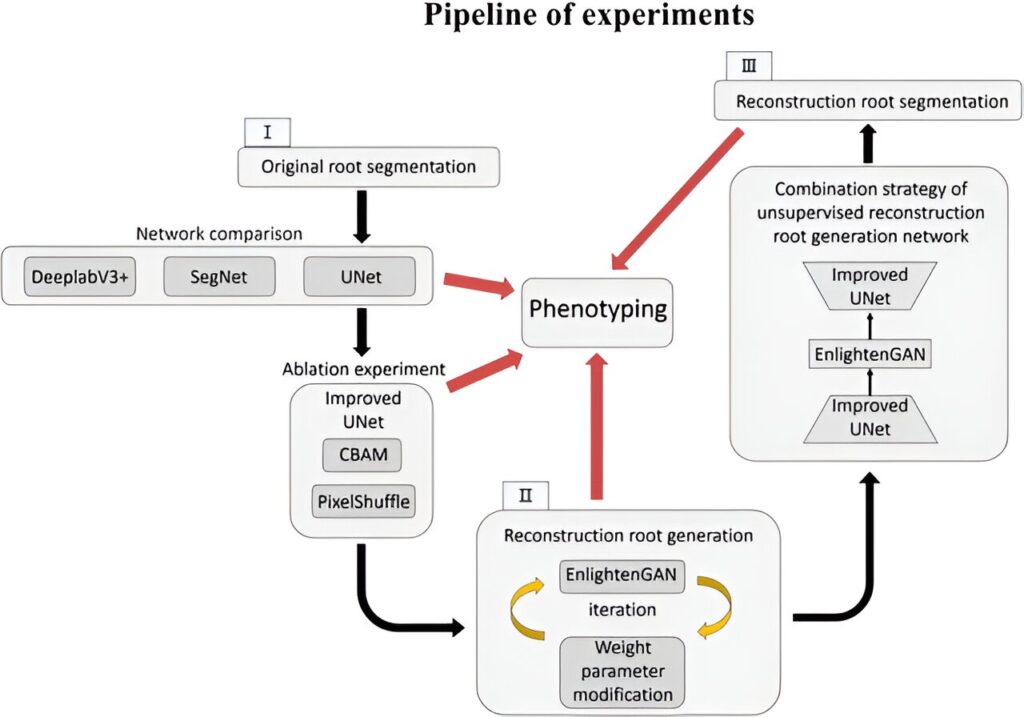 Harnessing AI for non-destructive in situ root imaging and phenotyping