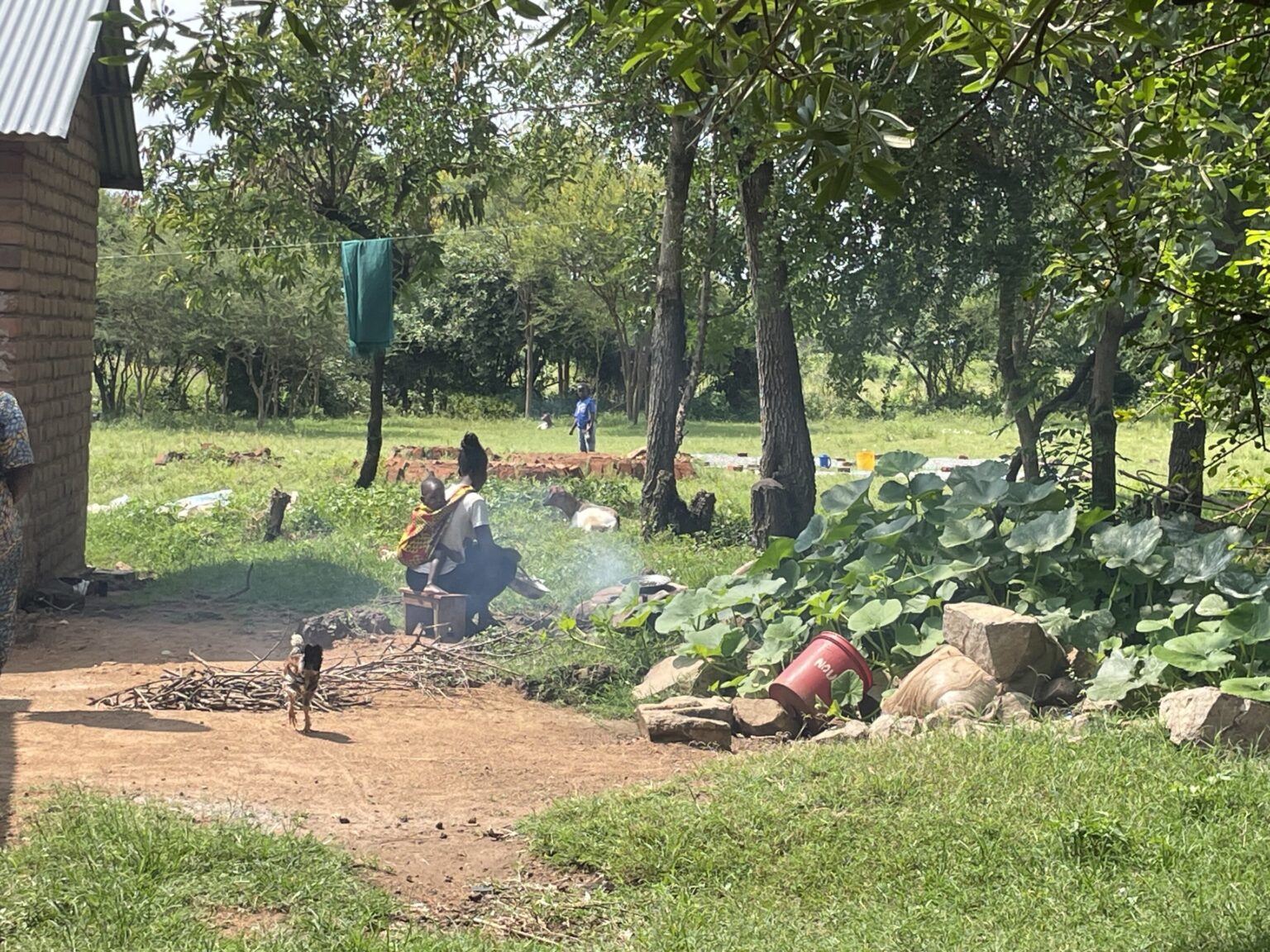 Study finds global carbon markets overcredit cookstove greenhouse gas reductions by a factor of 10