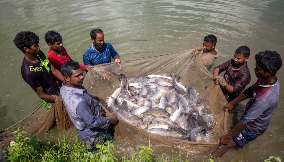 Bangladeshi fish farms ‘need climate data support’