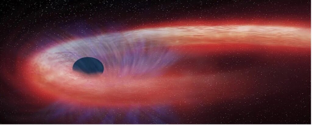 Tidal disruption events and what they can reveal about black holes and stars in distant galaxies