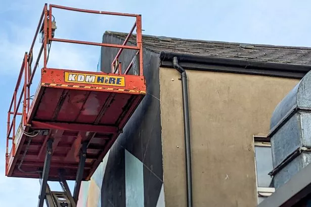 In photos: Belfast street artist's new mural adds splash of colour to Belmont Road