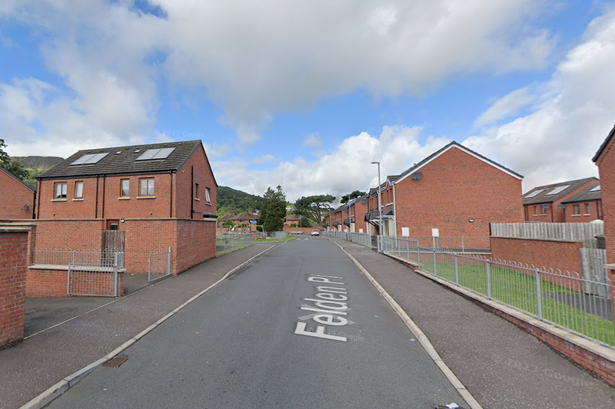 Newtownabbey mother and son sentenced after starving bull-terriers found eating dead dog