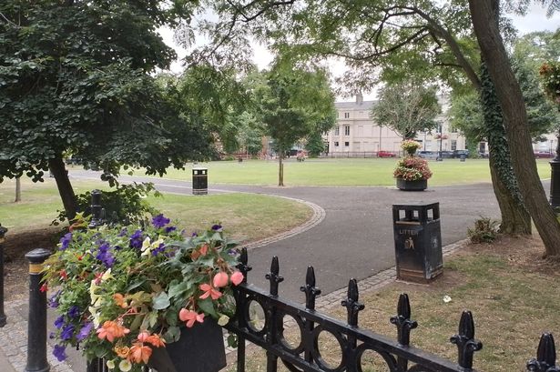 Belfast councillor slams 'ridiculous' remarks about proposal for swift tower in park