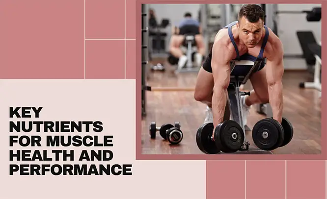 Building Strength Naturally: Key Nutrients for Boosting Muscle Health and Performance