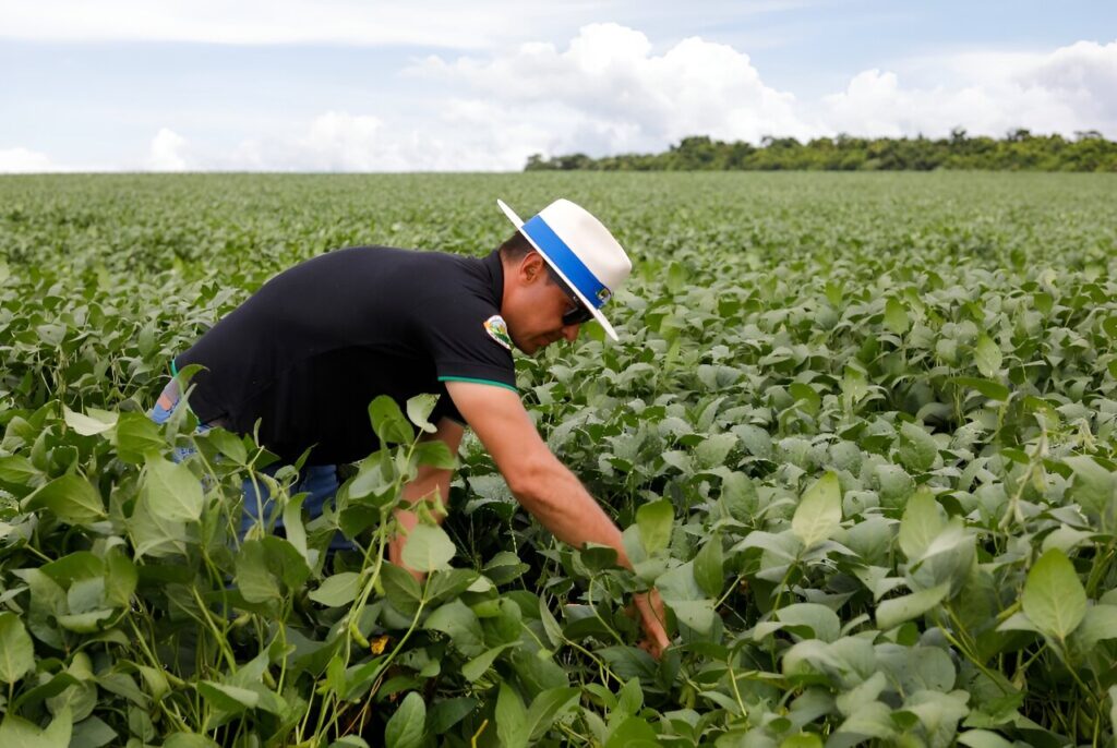 Natural pesticides gain ground in ‘agri-tox’ capital Brazil