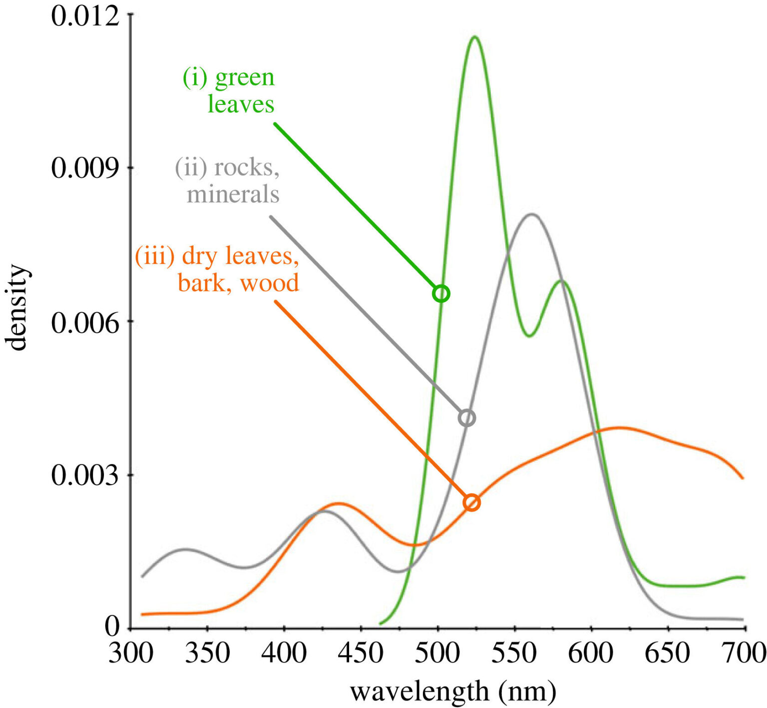 AI helps reveal the ancient origin story of floral colors
