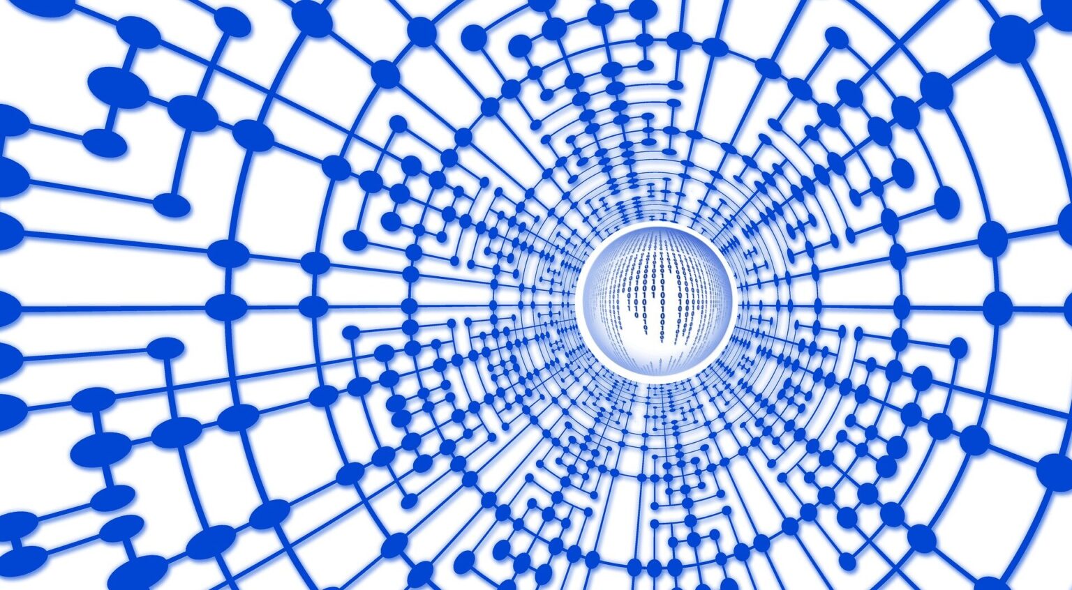 Widely used machine learning models reproduce dataset bias: Study