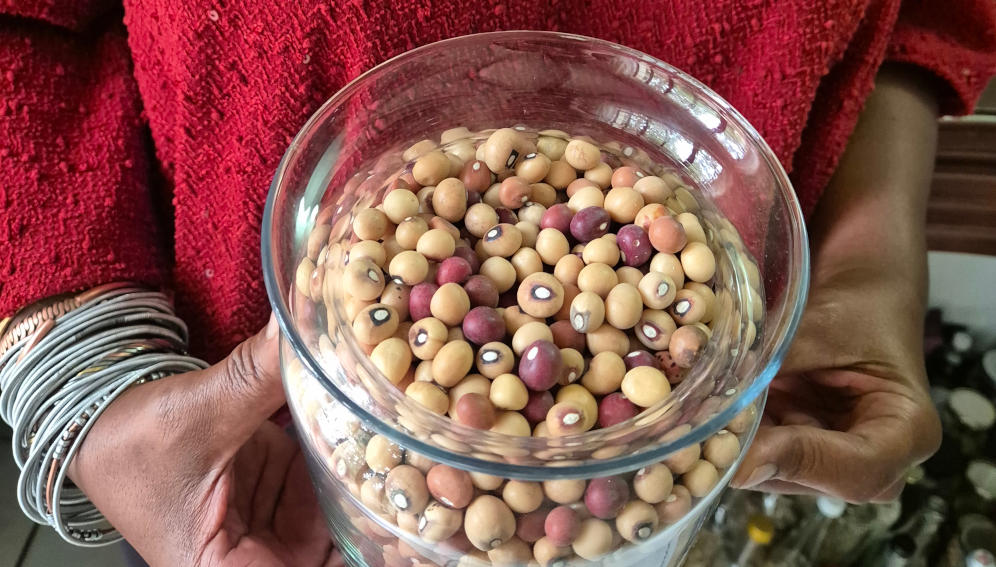 Reviving use of local seeds in African farming