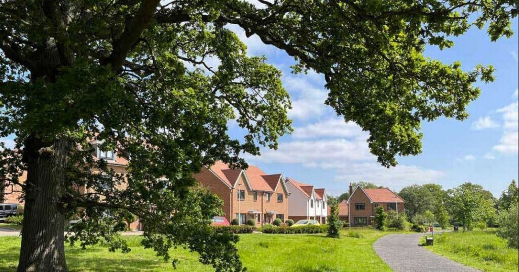 ‘Garden city’ with 770 homes and school planned for green belt in Kent town