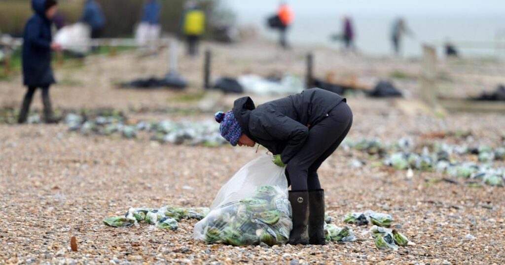 Sussex: Calls for ship owner to fund clean up of containers