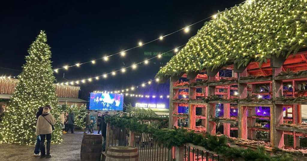 Tulleys Christmas Light Festival is a fantastic experience