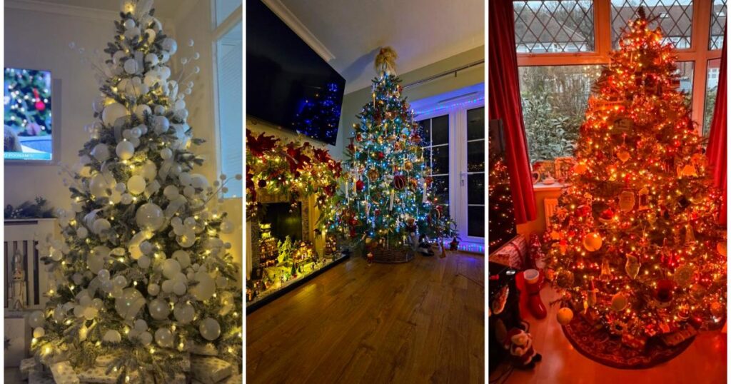 South east London’s most stunning Christmas trees 2025