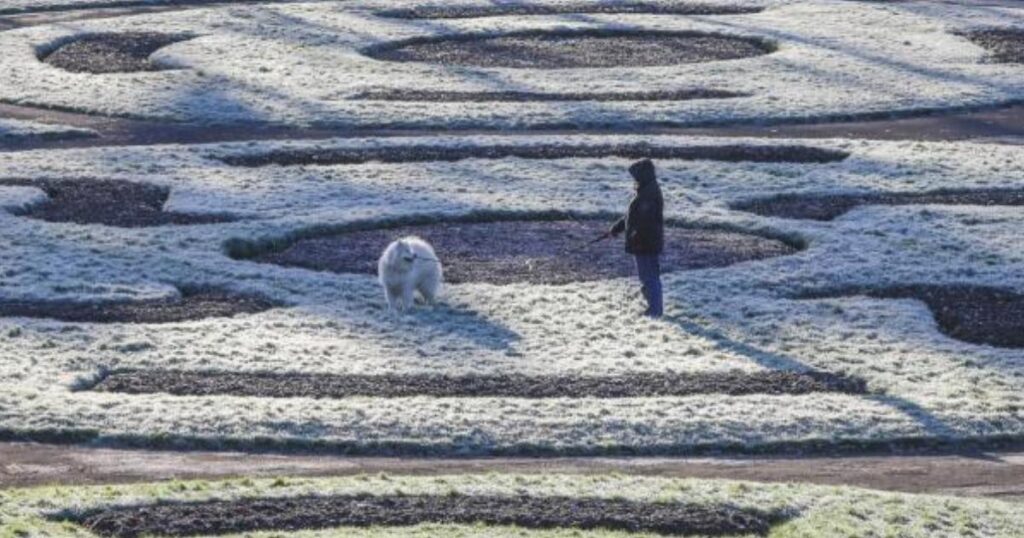 Snow and gale-force winds to hit Scotland from New Year’s Day