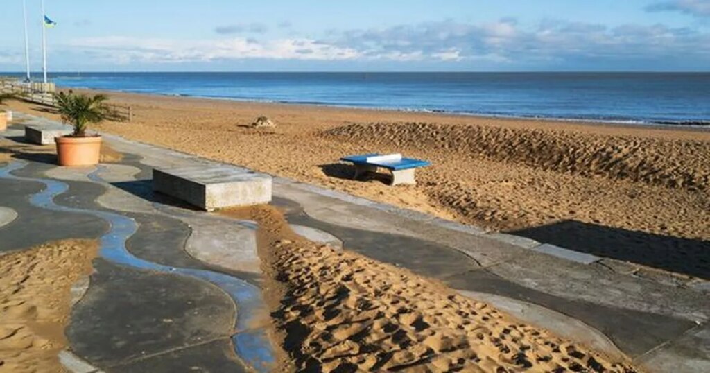 Warning to dog walkers after ‘dangerous’ substance discovered on 3 Kent beaches