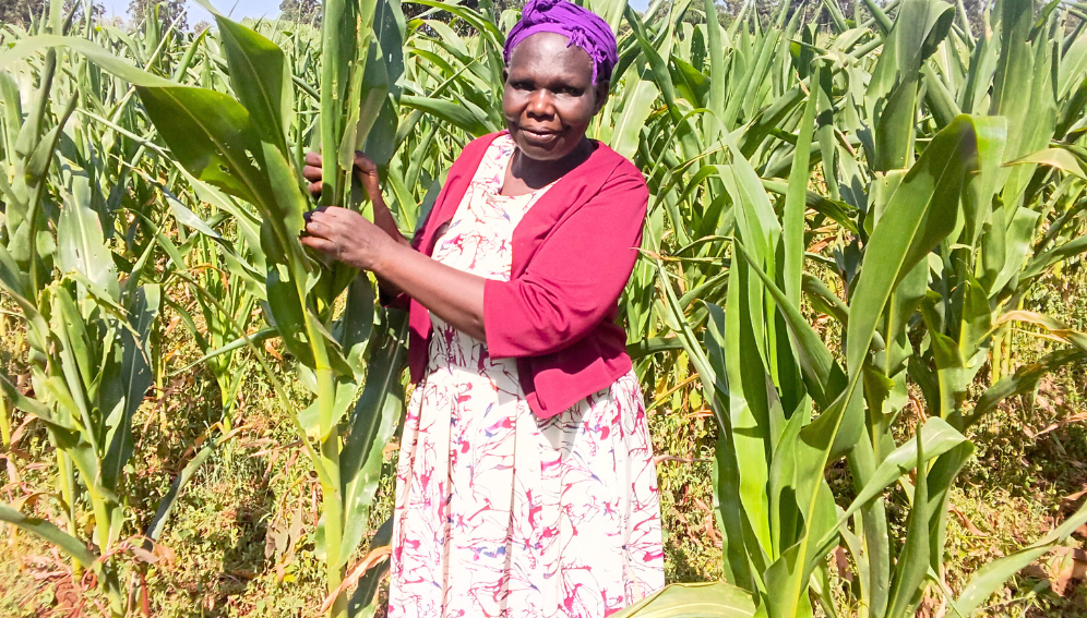 Why crop loss hits women farmers hardest