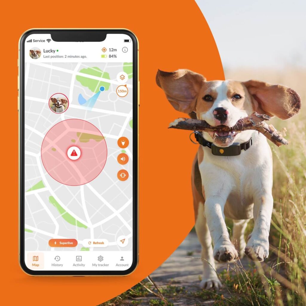 Meet Adrien Harmel, Co-Founder Of Award-Winning Pet GPS Tracker Weenect