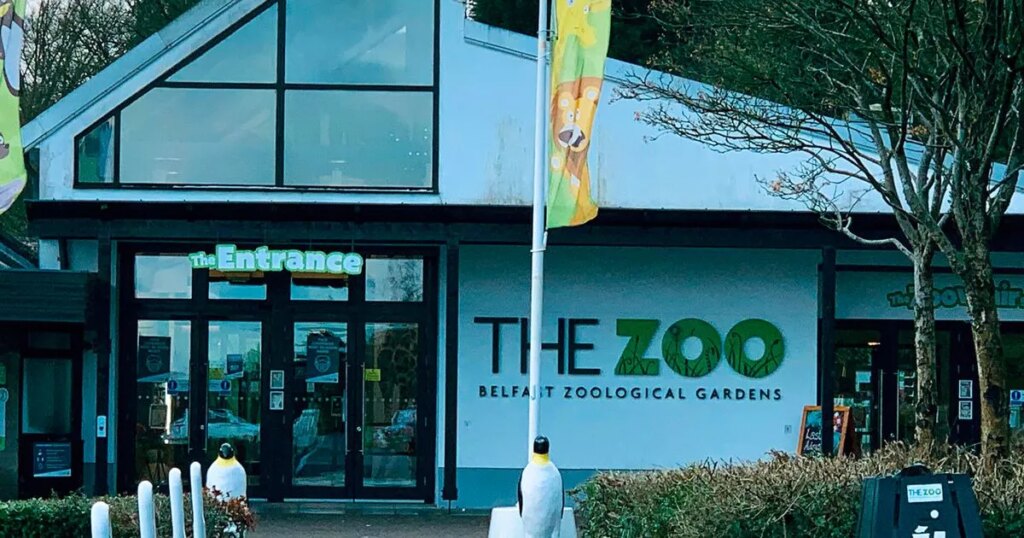 ‘Happy Zoo Year’: Belfast stalwart brings in 2026 with special family offer