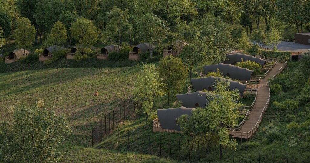 Kent staycation spot loved by celebs gets green light for luxury ‘lion lookout’ pods