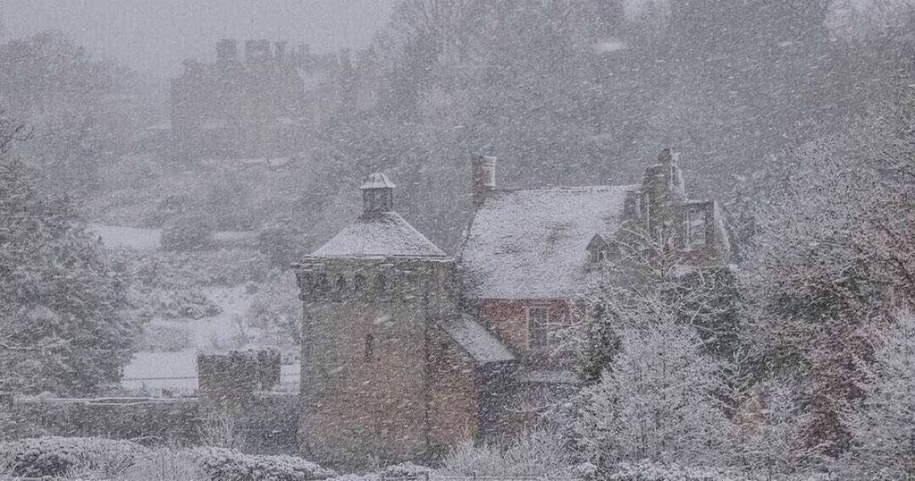 5 family-friendly winter walks in Kent with elephants, castles and a sea breeze