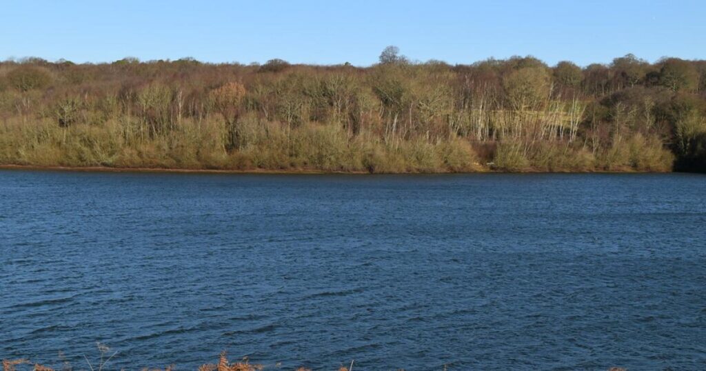 Inspector turns down appeal on glamping site near Bewl Water