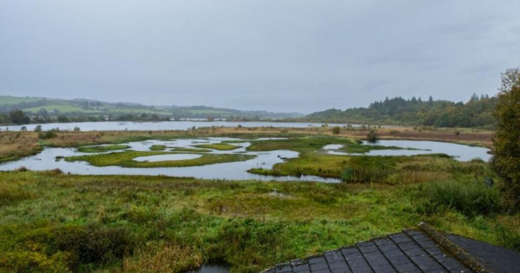 RSPB Lochwinnoch nature reserve awarded almost £20k