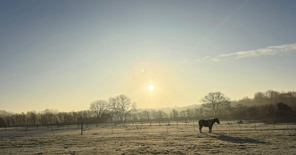 Hayes Farm and Norman Park Bromley 2,200 homes plan opposed