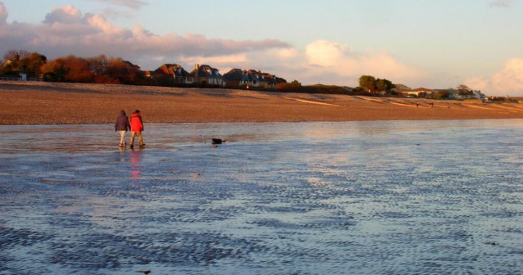Creature’s rotting body washes up on West Sussex beach