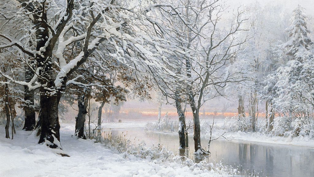 Can Trees Explode in Extreme Cold? About Exploding Trees This Winter – Hollywood Life