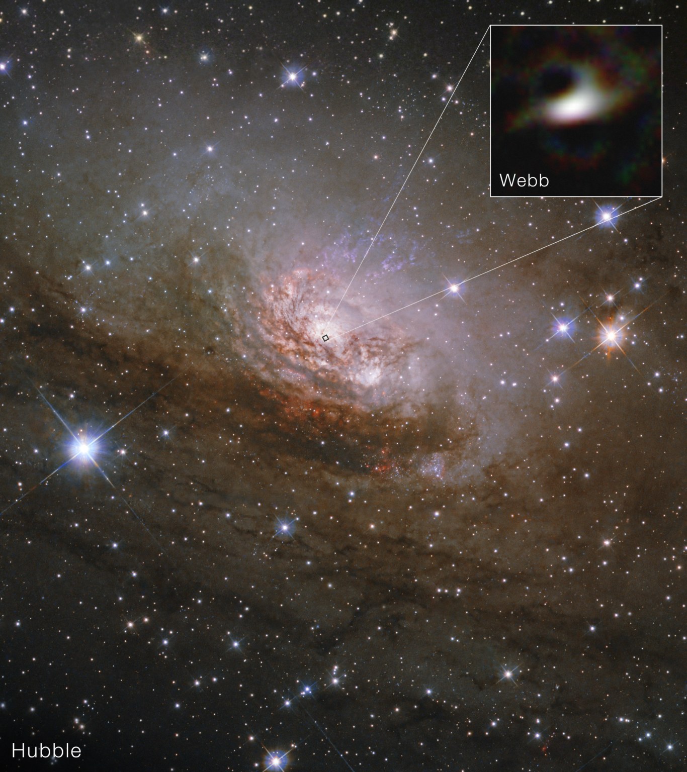 NASA’s Webb Delivers Unprecedented Look Into Heart of Circinus Galaxy