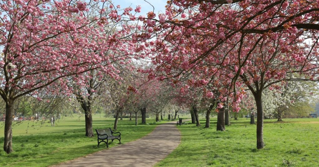 Bexley, Bromley, Greenwich and Lewisham best-rated parks