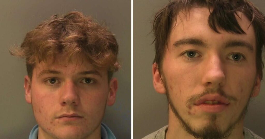 Sussex Police release statement after sheep killers sentenced