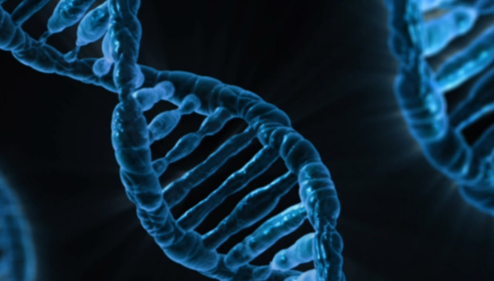 Breakthrough sickle cell gene therapy a distant hope in Africa