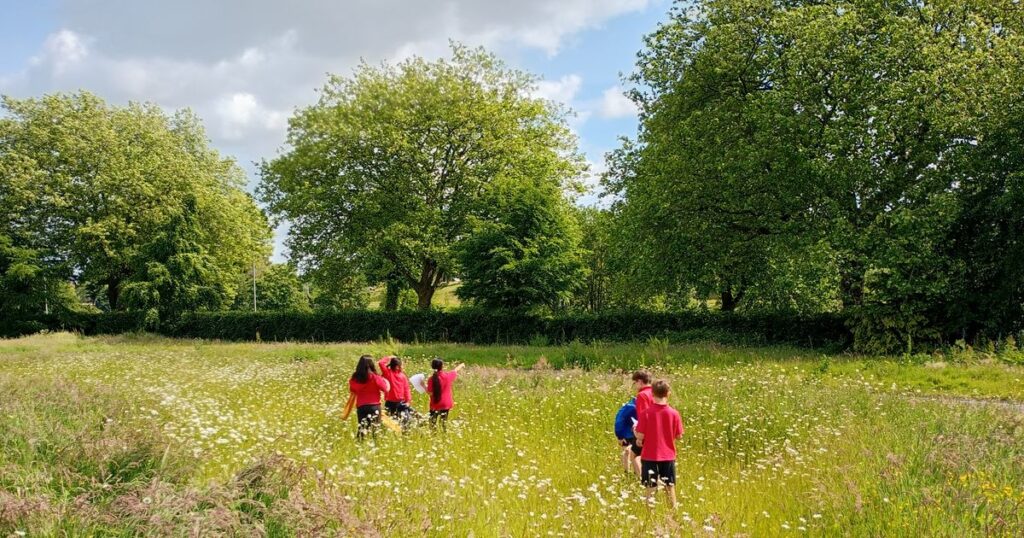 Petition to stop Botanic Gardens being dug up for pitch amasses hundreds of signatures in 48 hours